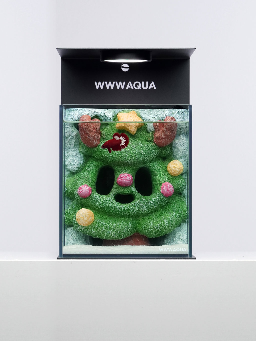 Ghostlet Christmas Grove Betta Aquarium Tank