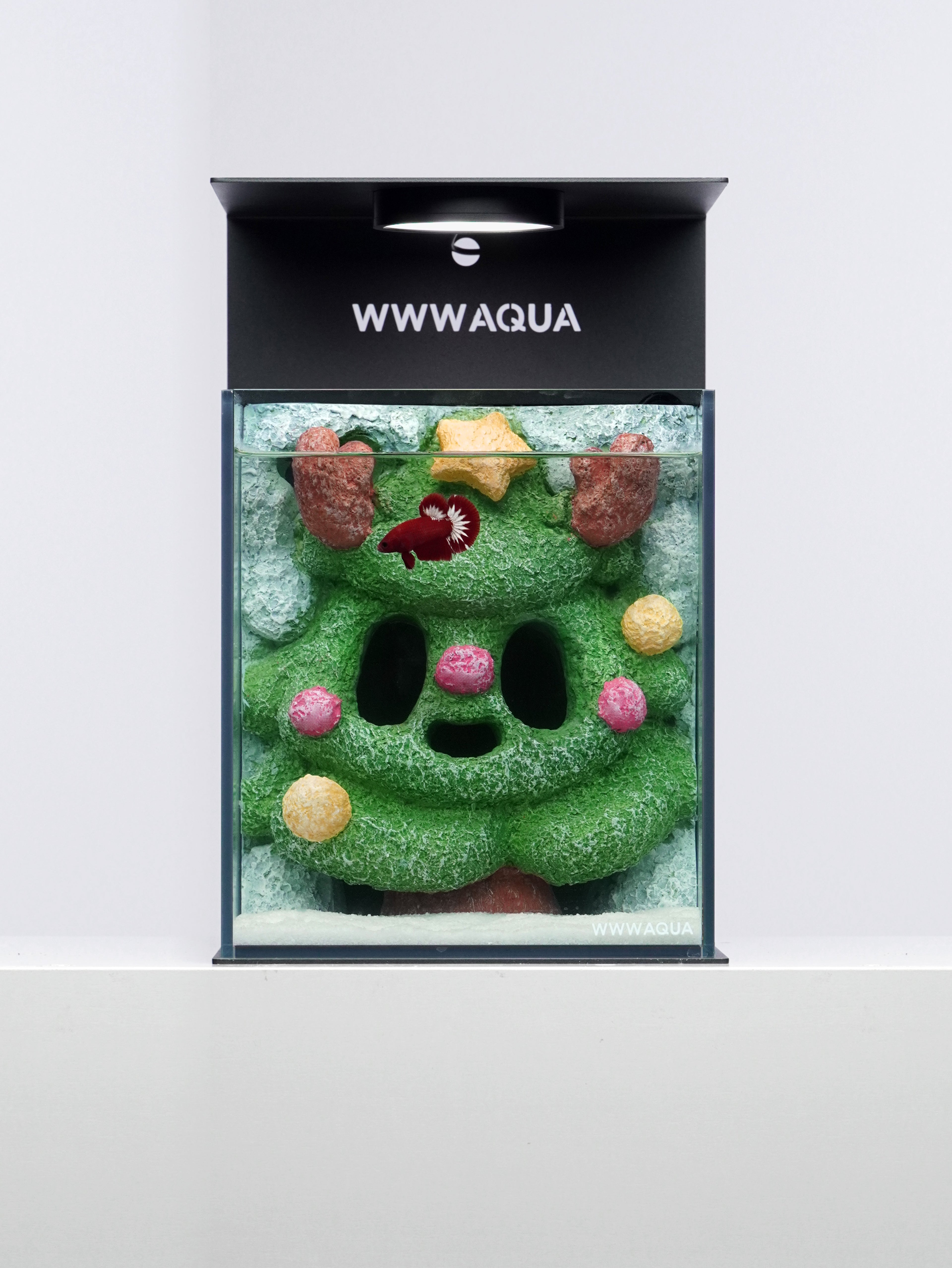 Ghostlet Christmas Grove Betta Aquarium Tank