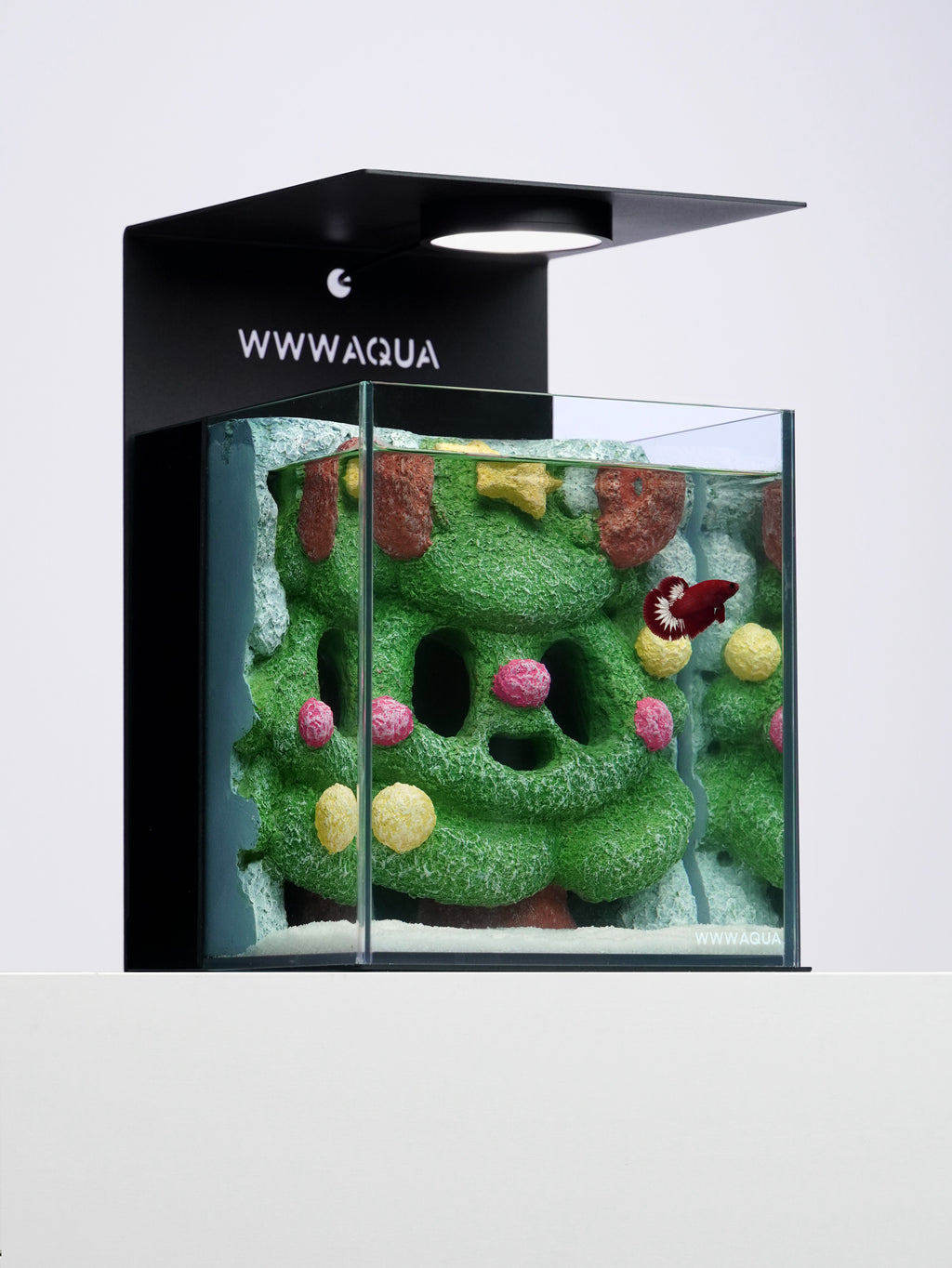 Ghostlet Christmas Grove Betta Aquarium Tank