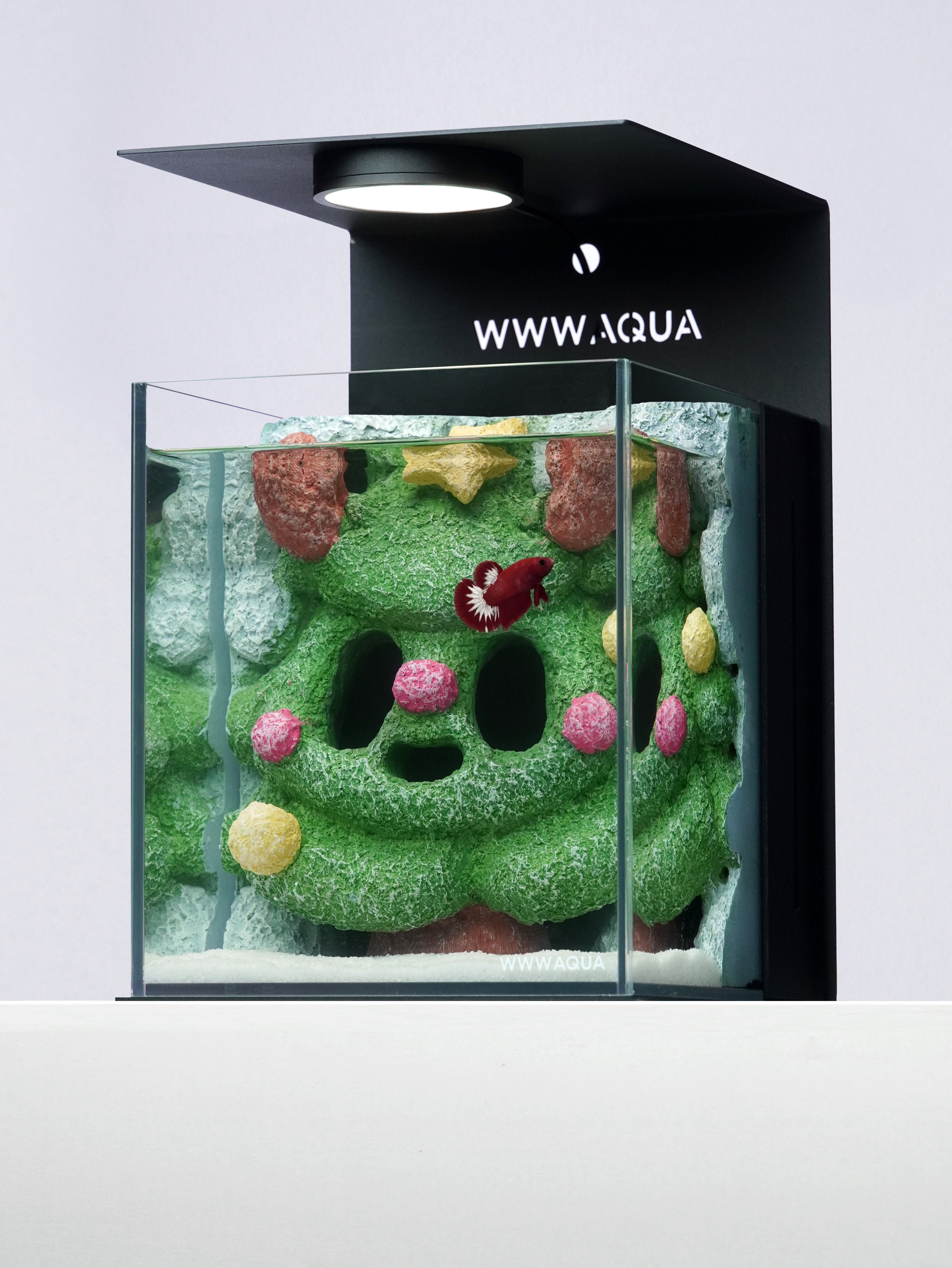Ghostlet Christmas Grove Betta Aquarium Tank