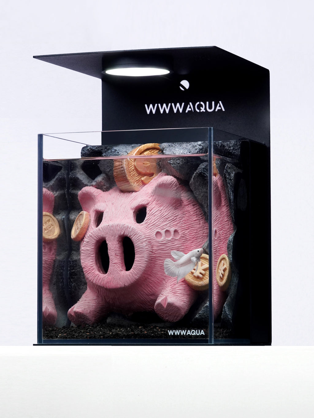 Prosperity Piglet Vault -Designer Betta Aquarium