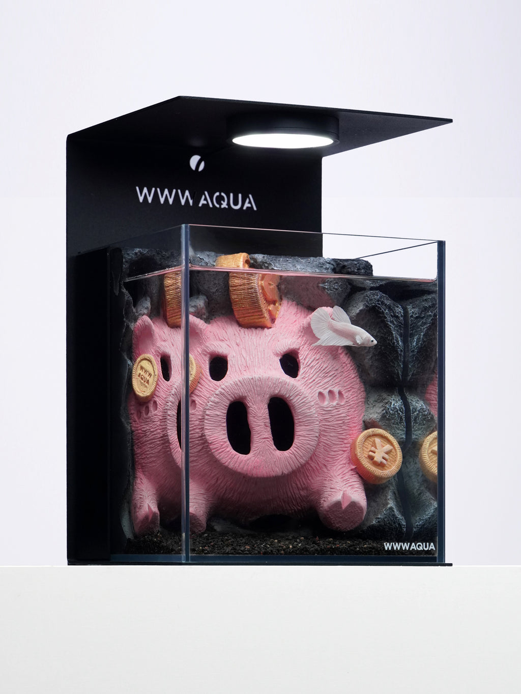 Prosperity Piglet Vault -Designer Betta Aquarium