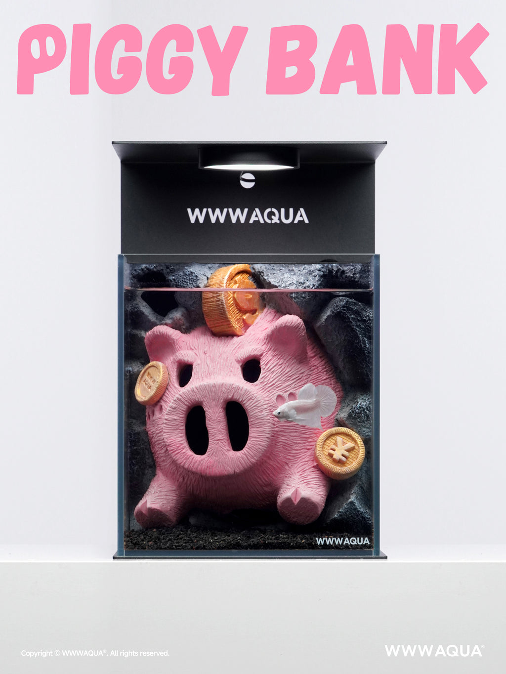 Prosperity Piglet Vault -Designer Betta Aquarium