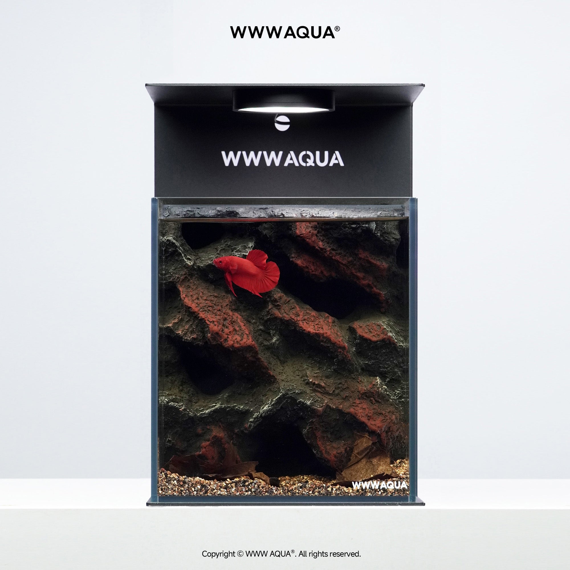 Ashfall Silence - WWWAQUA