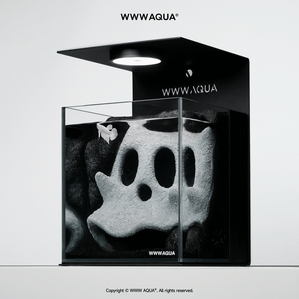 Ghostlet - WWWAQUA