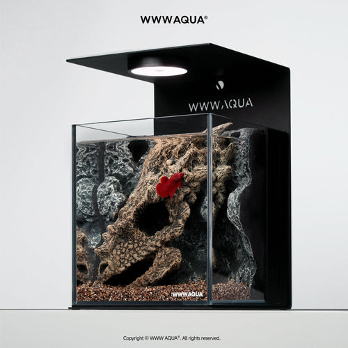 Guardian Fossil - WWWAQUA