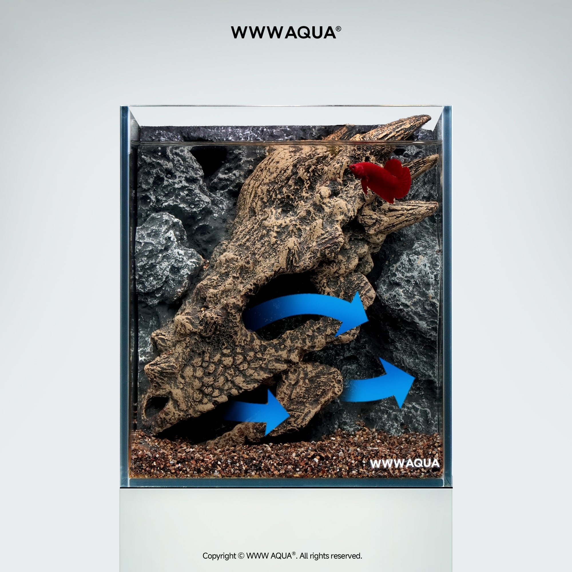 Guardian Fossil - WWWAQUA