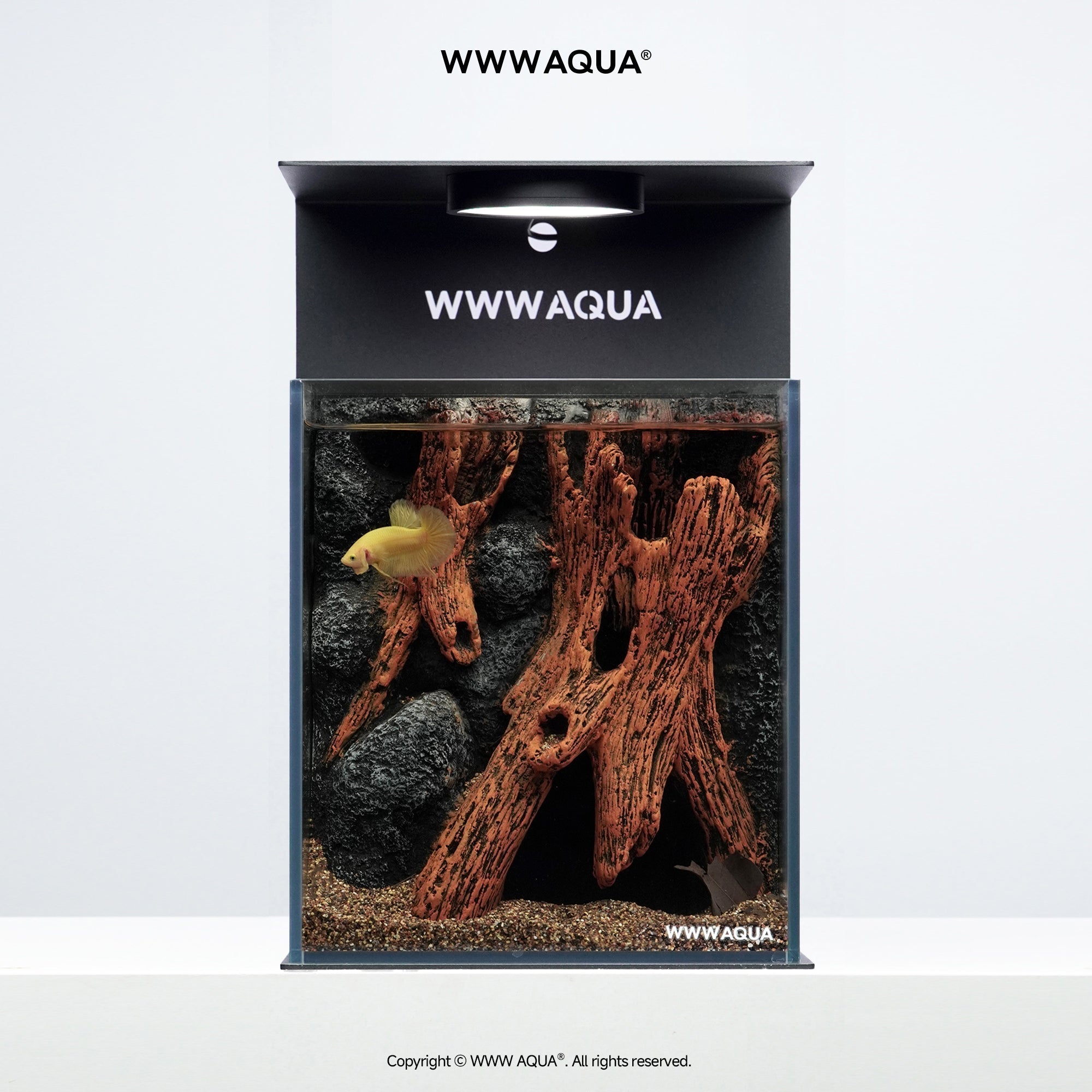 Whispers of Hollowroot - WWWAQUA