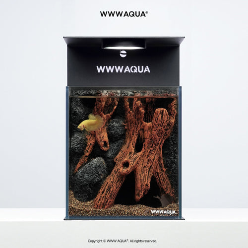 Whispers of Hollowroot - WWWAQUA