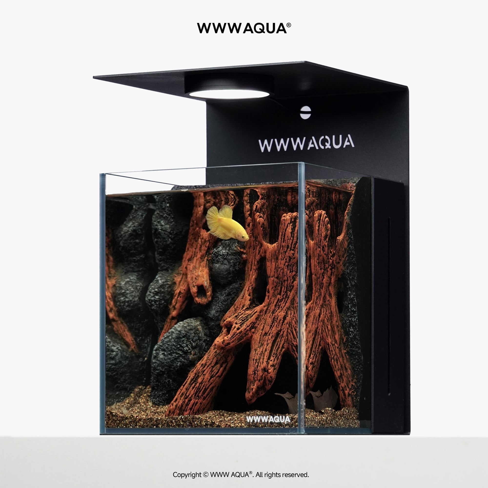 Whispers of Hollowroot - WWWAQUA